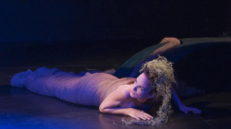 Ribič in njegova duša