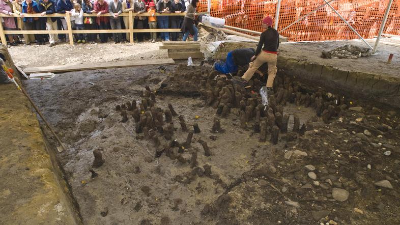 Javna vodstva bodo ob sobotah ob 11. uri potekala vse do 28. maja. (Foto: Bralka