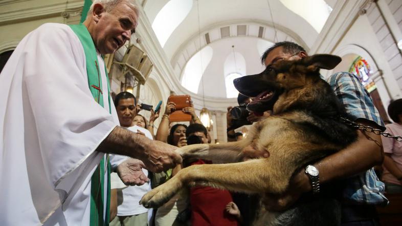 Blagoslov živali v Madridu