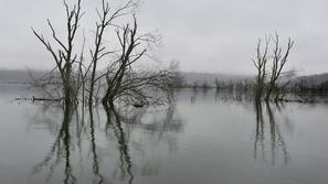 Poplavljeno Planinsko polje