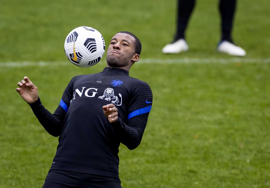 Wijnaldum | Avtor: Epa