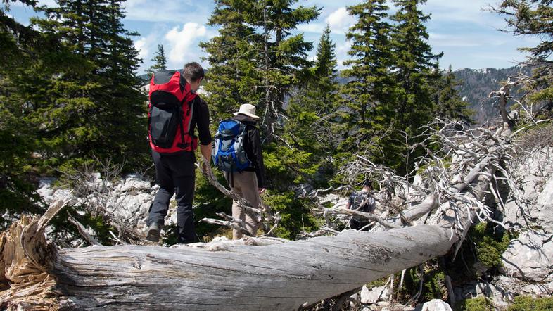 Velebit, Hrvaška