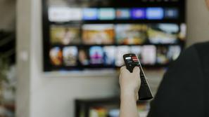 televizija programska shema