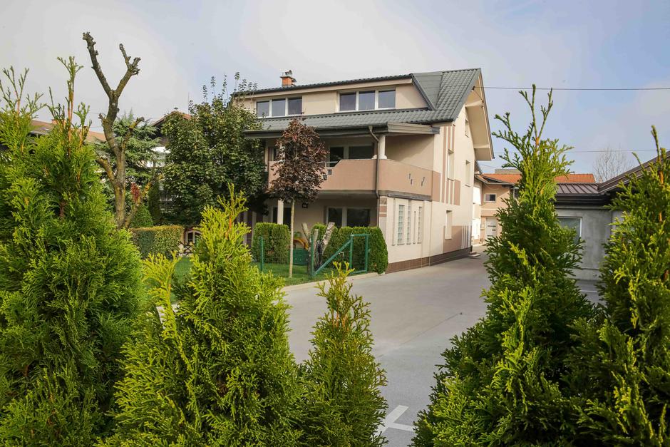 zavod Kengurujčki | Avtor: Saša Despot