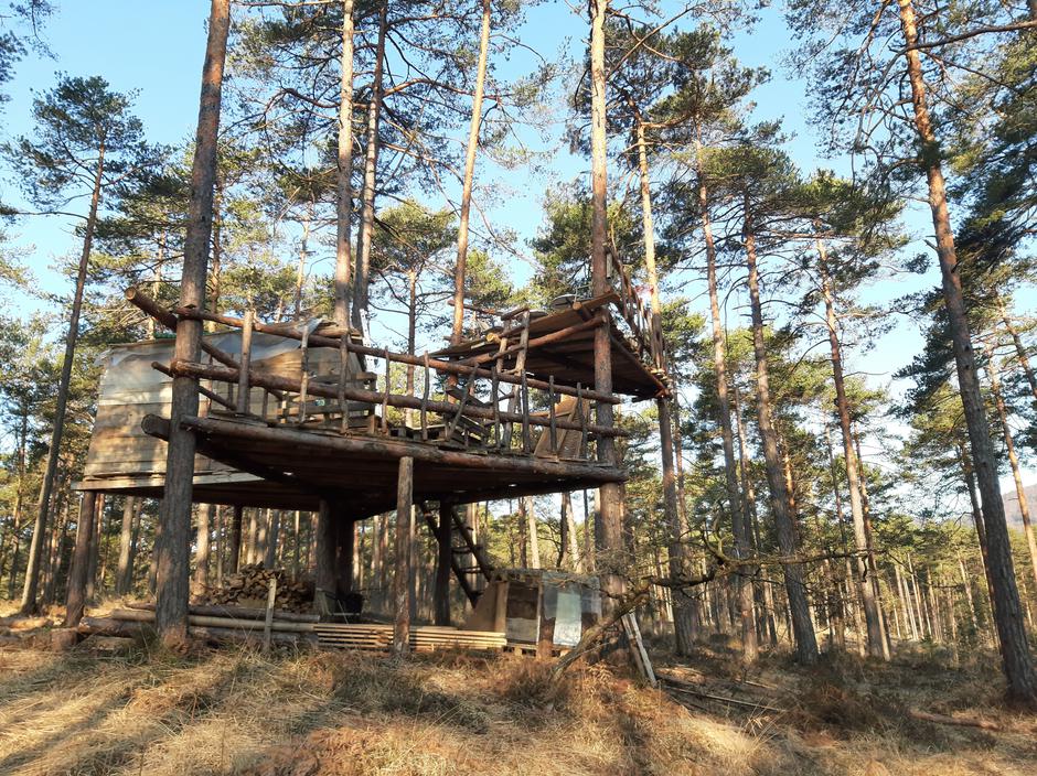 Mladi v gozdu | Avtor: Miran Šubic