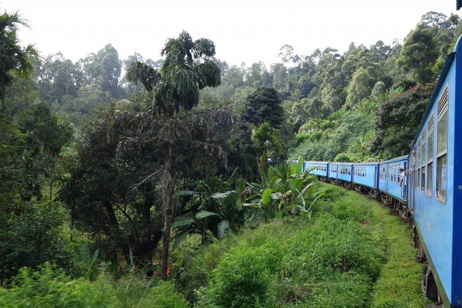 Šrilanka | Avtor: Maja Bitenc