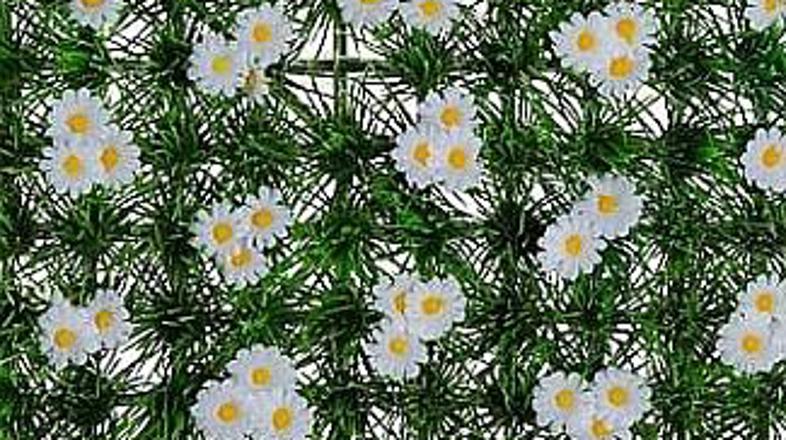 Travnik v stanovanju? Tudi te sanje so uresničljive!