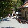 Rožnik