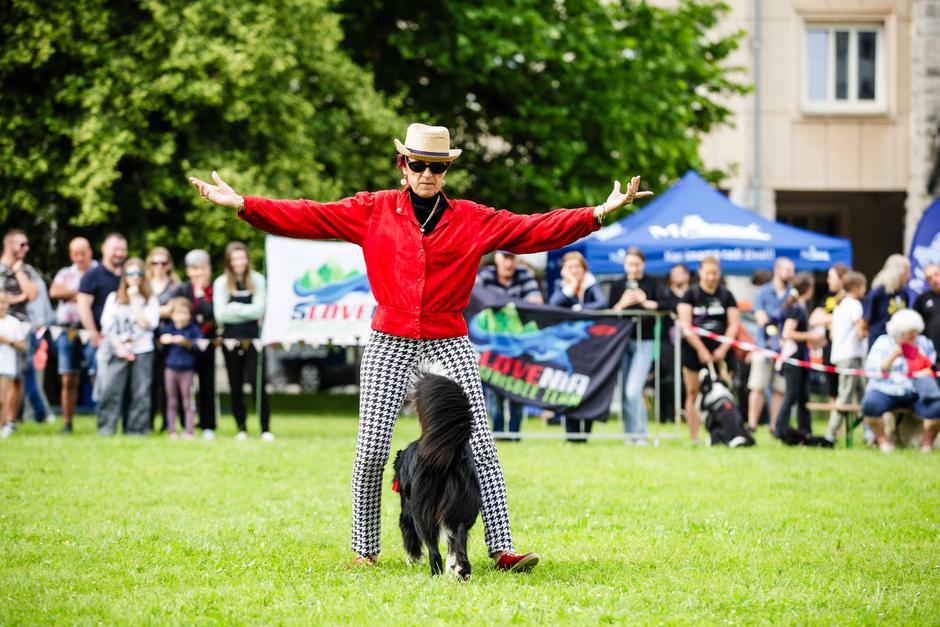 festival za ljubitelje živali | Avtor: Saša Despot