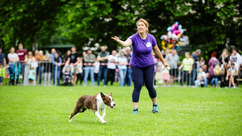 festival za ljubitelje živali