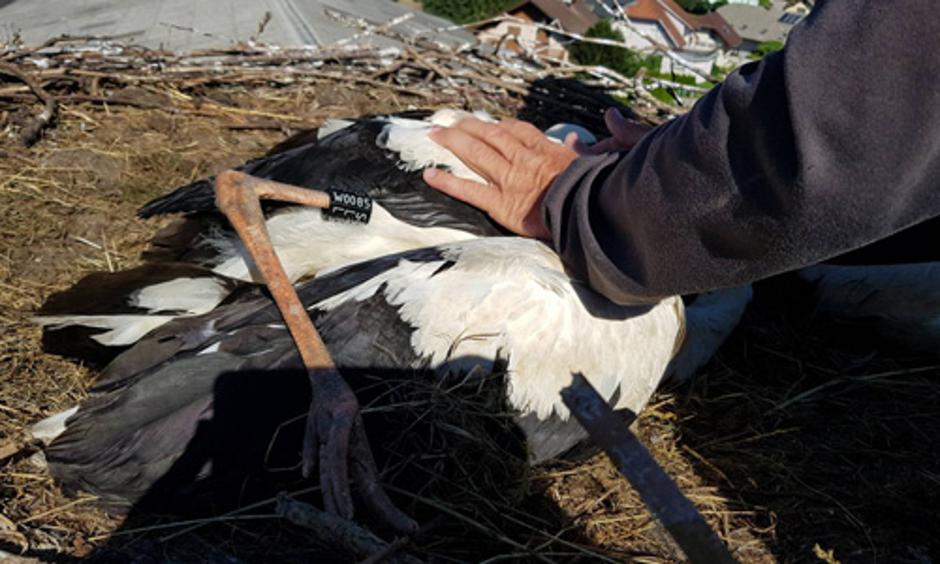  | Avtor: OŠ Predoslje Kranj