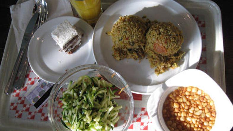 Po mnenju MSi je ŠOS favorizirala mobitelno rešitev elektronizacije študentske p