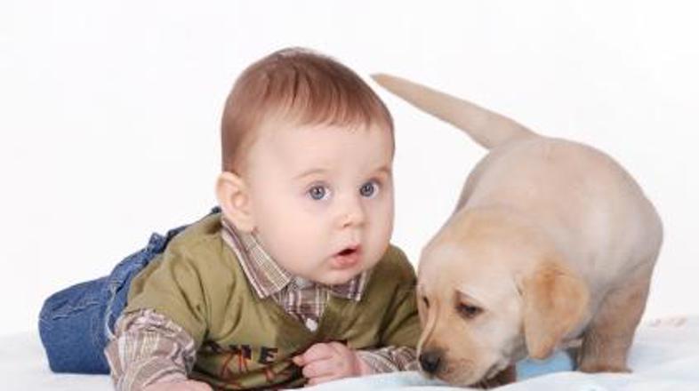 Če se boste pripravili, ne bi smelo biti težav.