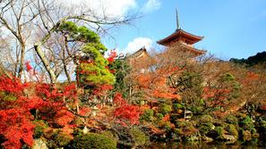 11. mesto: Kjoto, Japonska