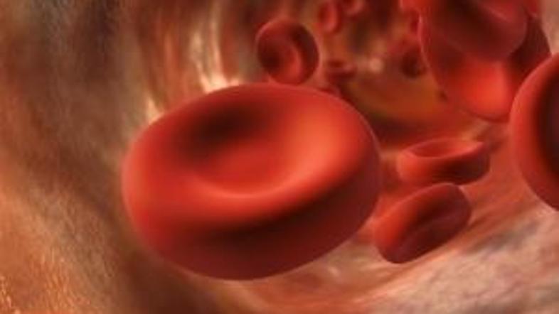 V različne krvne skupine nas razvrščajo antigeni, ki so na rdečih krvnih celicah
