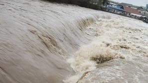 (Foto: Špela Mohorič)