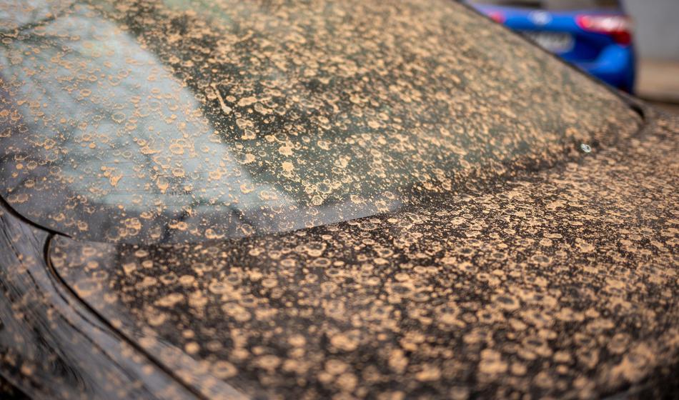 Ta rumena sitnost se bo prej ali slej nabrala na vašem avtomobilu? Kako se je znebite?