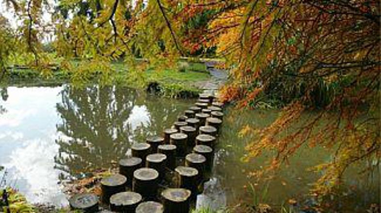 Arboretum v mirnejših časih