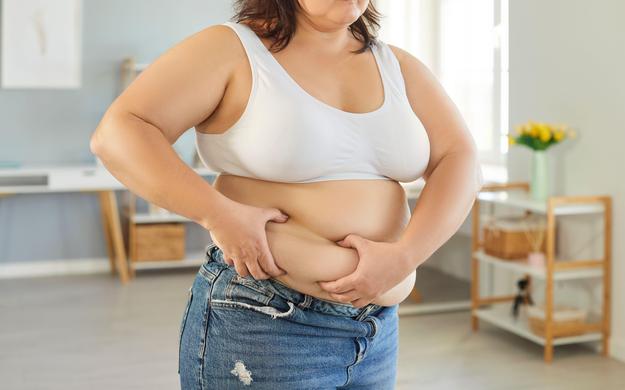 trebuh, trebušasta debelost, visceralna maščoba,