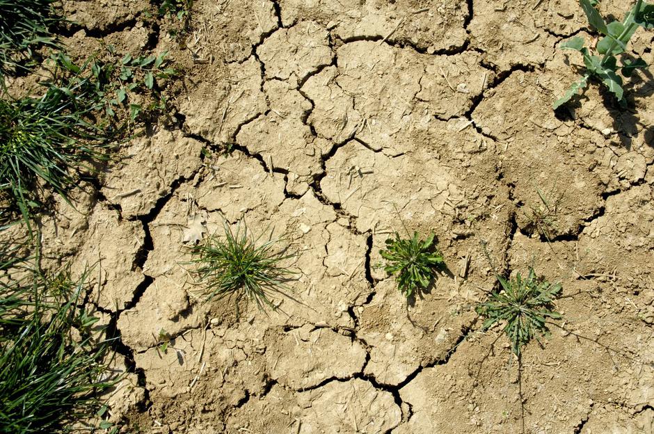 suša suha tla | Avtor: Profimedia