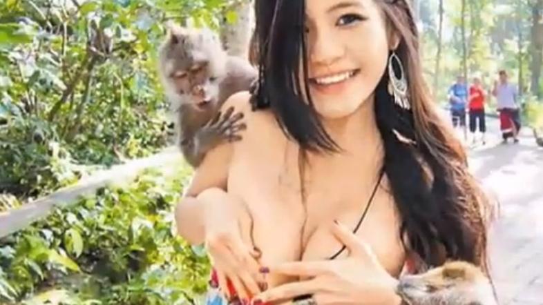 Opici slekli tajvansko študentko