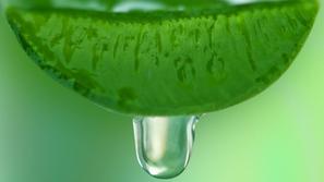 (Foto: Shutterstock)