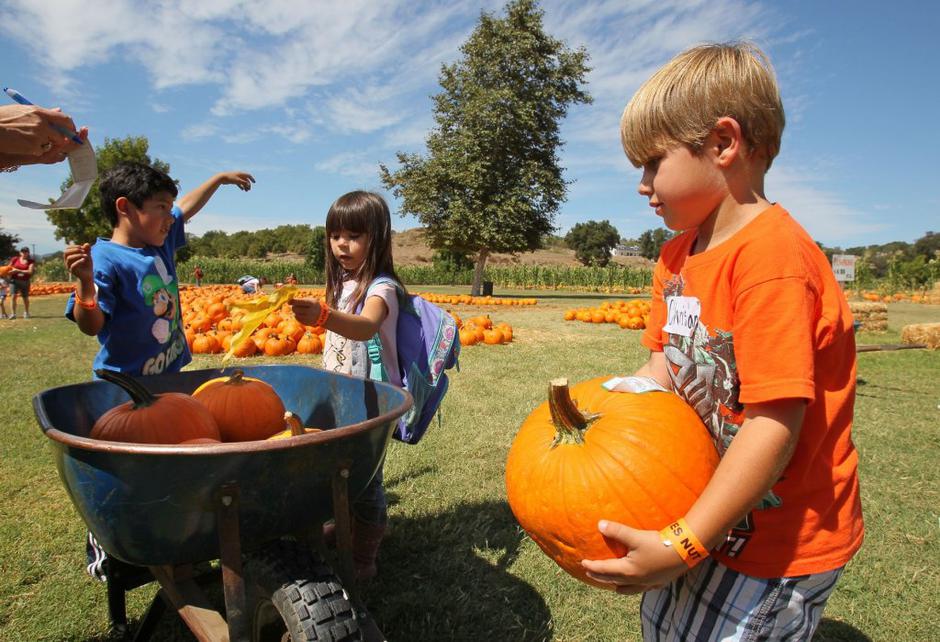 Šolska ekskurzija | Avtor: Profimedias
