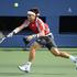 david ferrer us open polfinale
