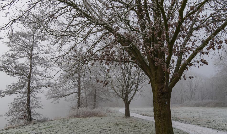 Vreme: Zelo kmalu temperature okoli ledišča, tu bo najhladneje