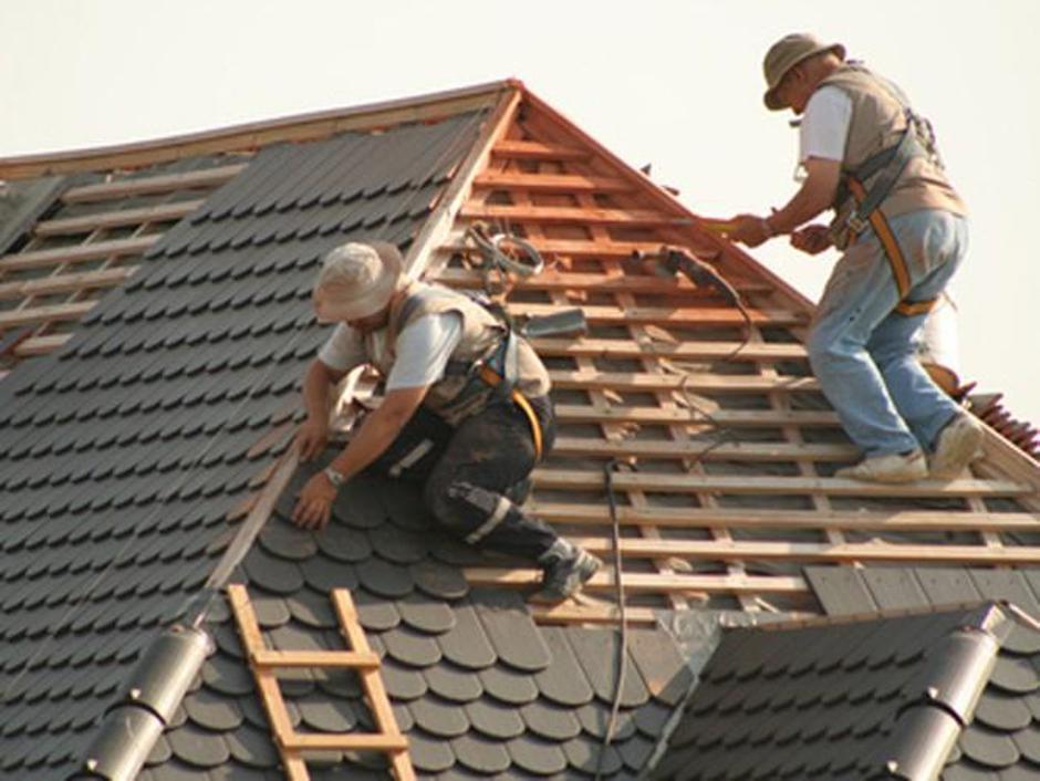 krovec
 | Avtor: Žurnal24 main