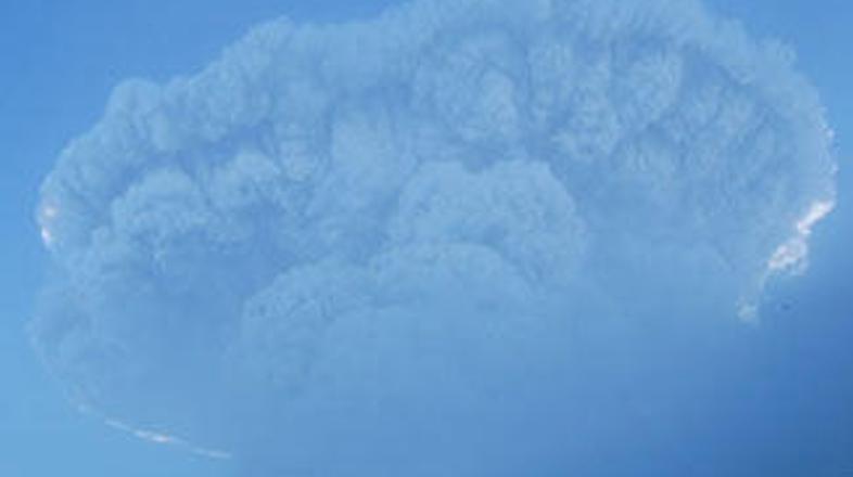 Vulkan je v zrak izbruhal ogromen oblak pepela.