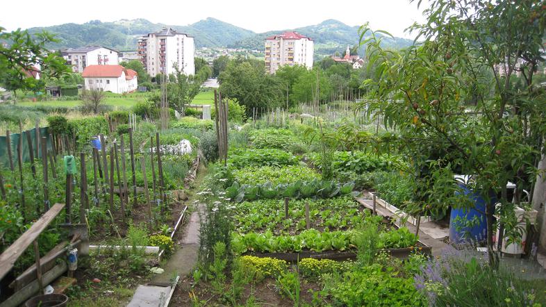 Tile vrtovi, ki so v prejšnjih dneh zaradi dežja samevali, se bodo morali sčasom