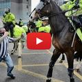 navijač udaril konja Newcastle Sunderland