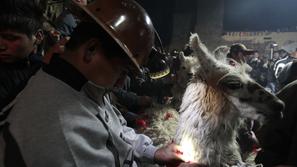 žrtvovanje lame Bolivija