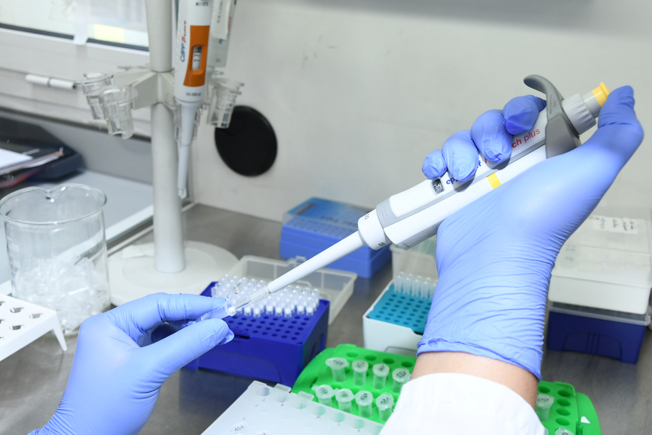 Covid test testiranje | Avtor: Profimedia