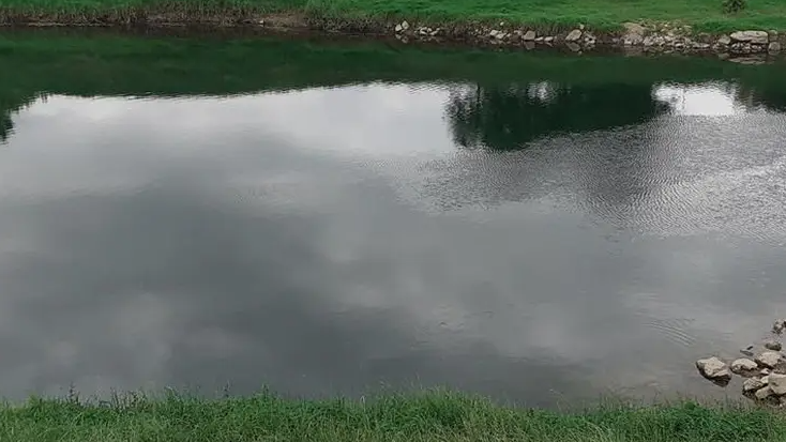 kolpa