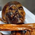 Najznamenitejša evropska mumija je razkrila še eno svojo skrivnost: Ötzi je bil 