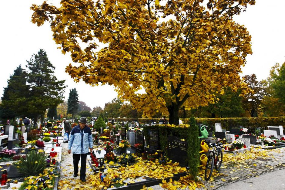 Žale 2011 | Avtor: Saša Despot