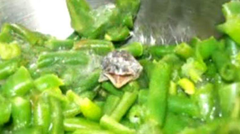 zamrznjena zelenjava kača