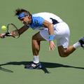 david ferrer