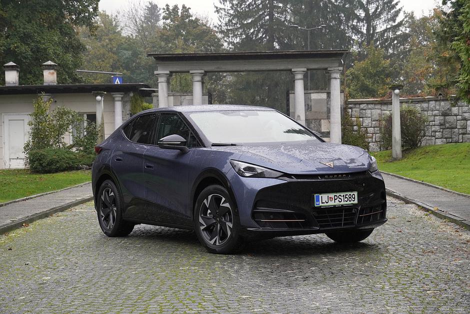 Cupra tavascan | Avtor: Matija_Janežič