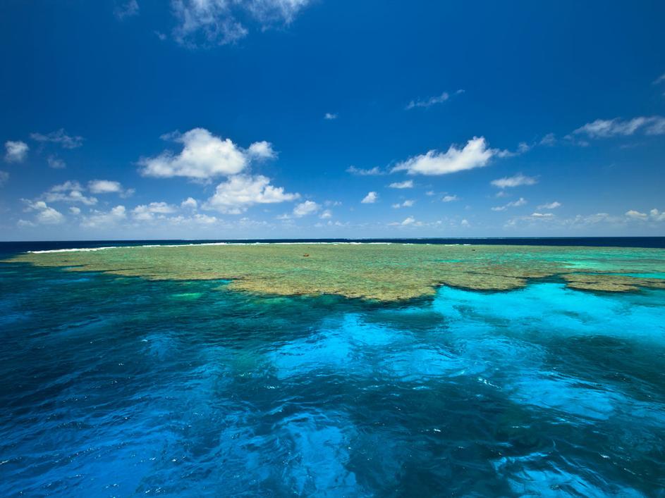 Veliki koralni greben, Avstralija