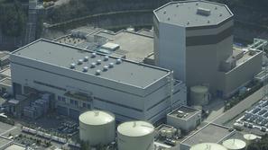 Jedrska elektrarna v Curugi. (Foto: Reuters)
