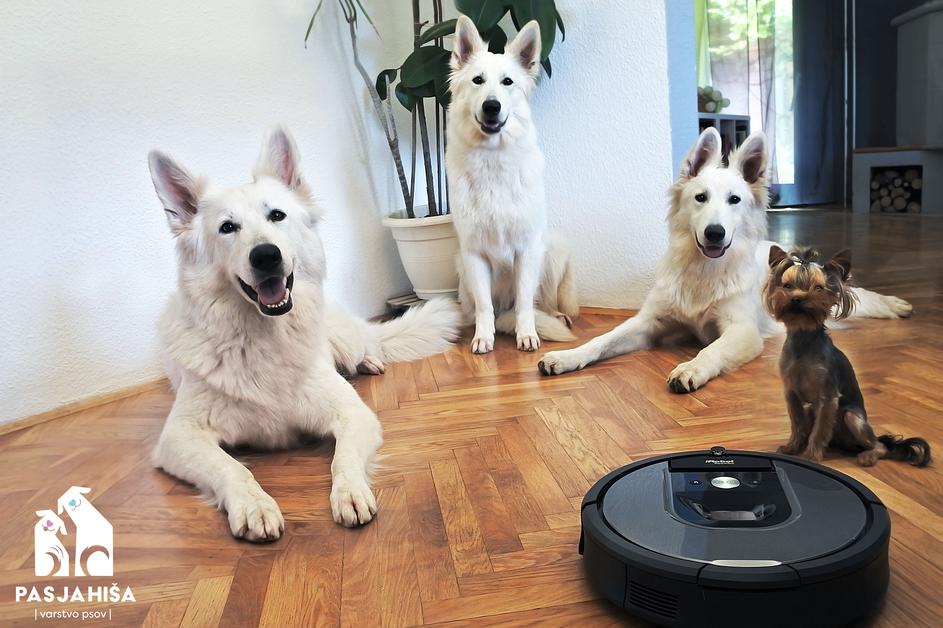 Roomba v Pasji hiši