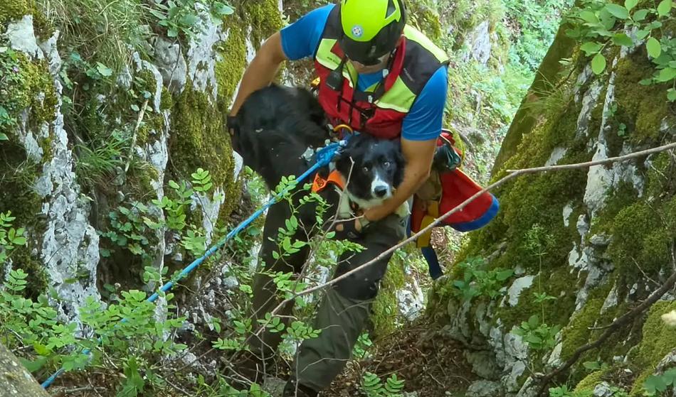 To psičko so iz prepada rešili gorski reševalci