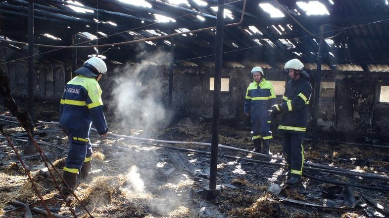 požar, farma piščancev, Hajdina, Ptuj