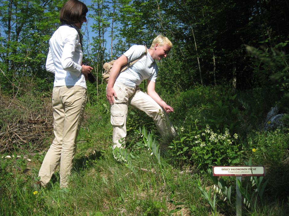 Med tremi na novo urejenimi botaničnimi vrtovi je tudi naravni vrt na Goričci v  | Avtor: Žurnal24 main
