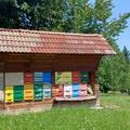 čebelnjak Župa medved
