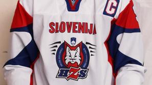 &lt;sport&gt; 08.04.09 Tomaz Razingar, uradno fotografiranje slovenske hokejske 
