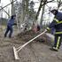 Žurnalova delovna brigada čiščenje gozda Snežnik